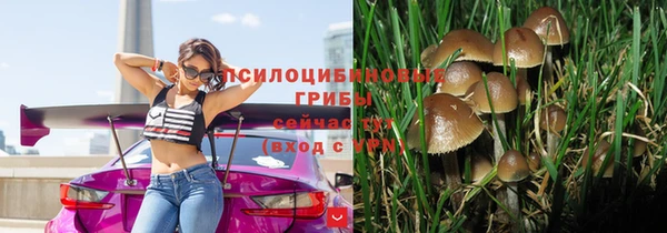 гидропоника Аркадак