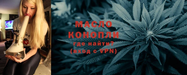 молекула духа Арсеньев