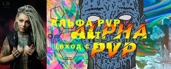 молекула духа Арсеньев